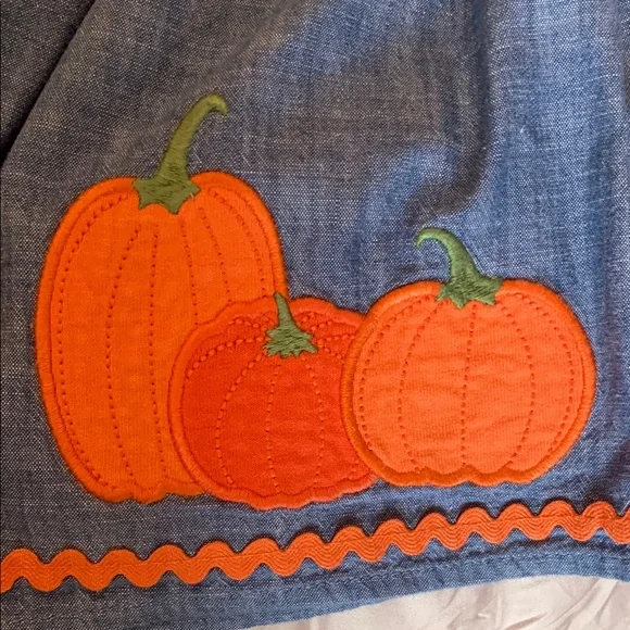 Gymboree Chambray Skort with Embroidered Pumpkins - Picture 5 of 5